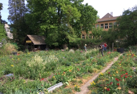 Der Charlottengarten neben der Kirche Bühl auf dem Rebhügel