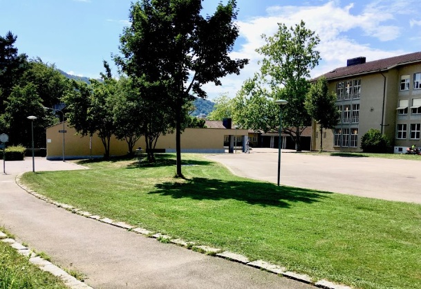 Auf dem kleinen Wiesenstück links, teils anstelle der vier Bäume, kommt der neue Pavillon zu stehen