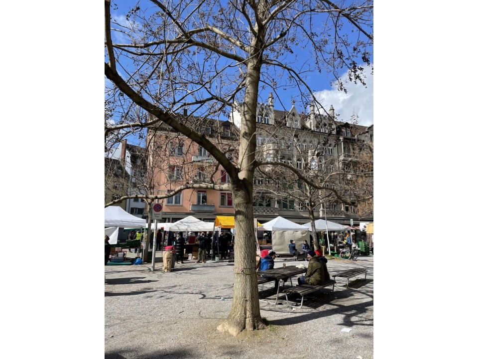 Hinter den Marktständen kann man sich auf Bänken ausruhen