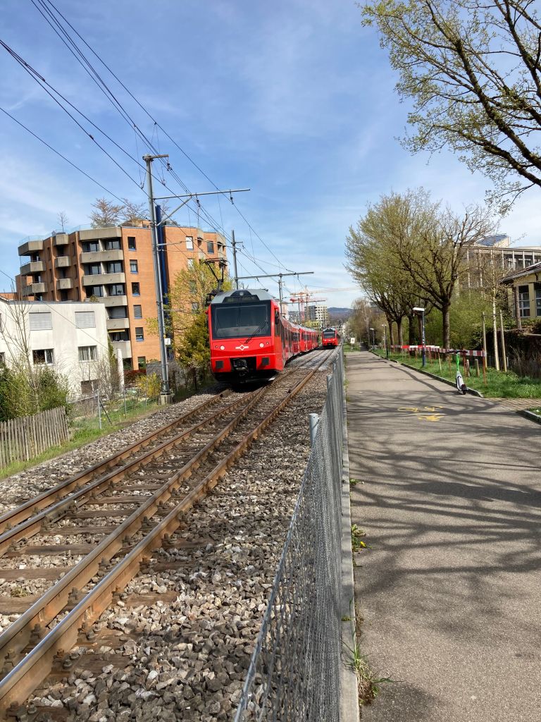 . . . soll zwischen Altersheim Tiergarten (links) und Agnes Robmann-Weg (rechts) verschoben werden