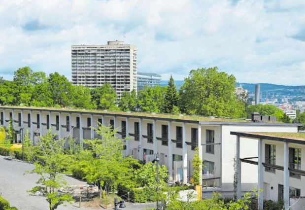 Mietparadies Friesenberg: FGZ-Siedlung Baumhaldenstrasse (Foto Karin Hofer / NZZ)