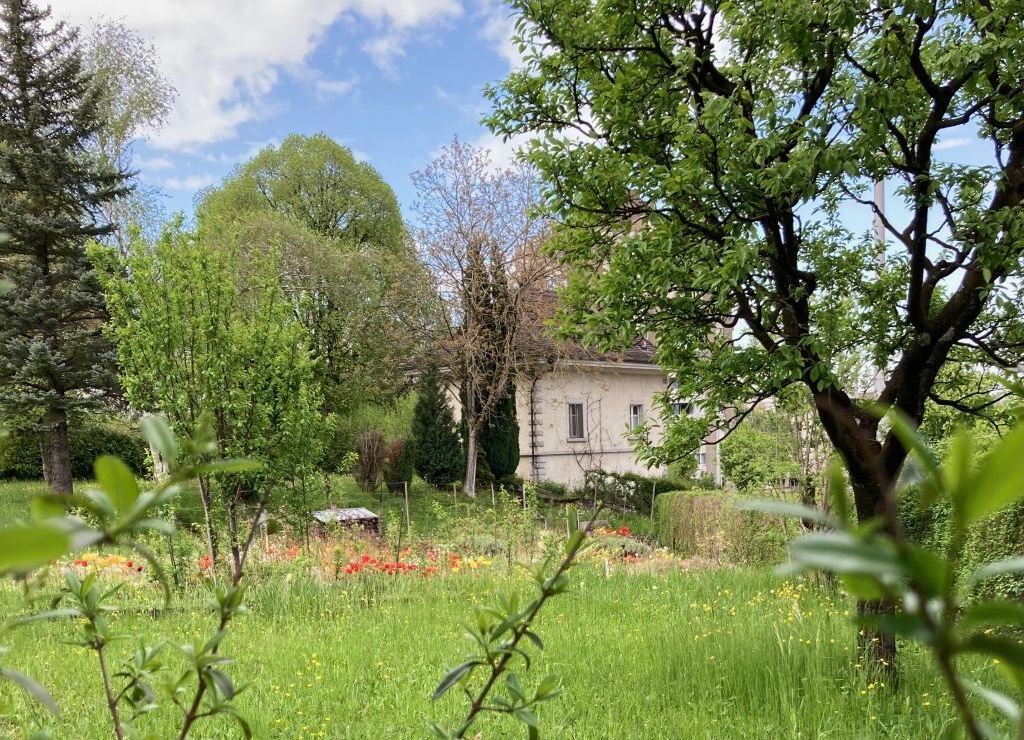 Blumengarten hinter dem Pumpenhaus