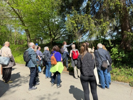 Grosses Interesse an der Wildpflanzen-Führung des Quartiervereins