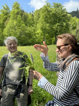 Biljana Milakovic (rechts) erläutert zahlreiche Pflanzen, von der Wurzel über den Stiel bis zur Blüte und den Blättern Biljana Milakovic (rechts) erläutert zahlreiche Pflanzen, von der Wurzel über den Stiel bis zur Blüte und den Blättern