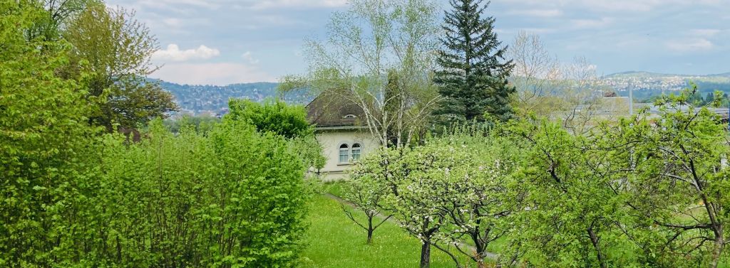 Das schreibt der Stadtrat zum Albishof Das schreibt der Stadtrat zum Albishof