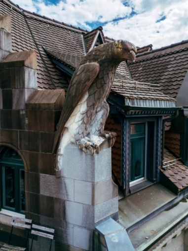 Rund zwei Meter Höhe misst der Steinadler von der Bertastrasse (© Fotos Jonathan Labusch, Tages-Anzeiger) Rund zwei Meter Höhe misst der Steinadler von der Bertastrasse (© Fotos Jonathan Labusch, Tages-Anzeiger)