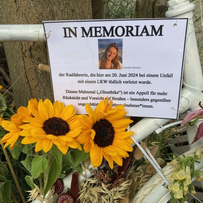 In Memoriam Veronika Hammer