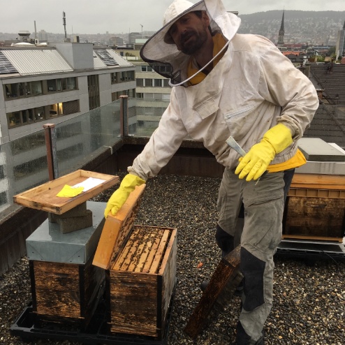 Tom Scheur ist mit Bienenhaltung aufgewachsen
