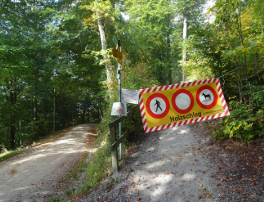 Am Uetliberg wird gerodet – zu recht!